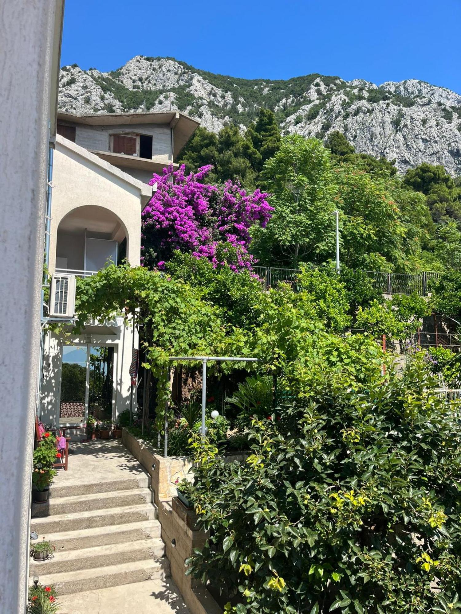 Apartment Davor Gradac  Luaran gambar